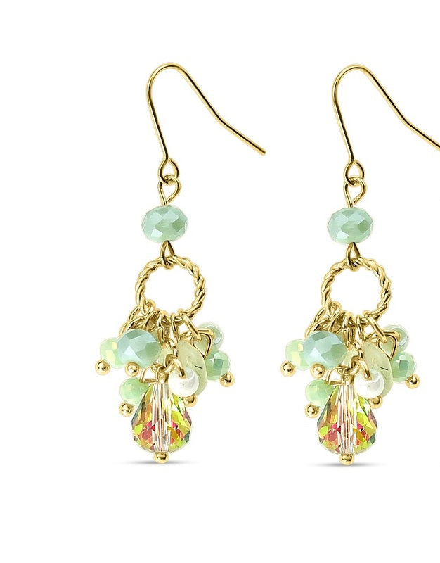 Fashion Earrings