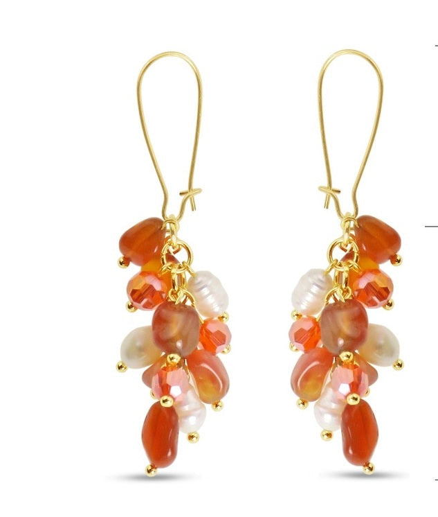 Fashion Earrings