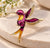 Bird Brooch