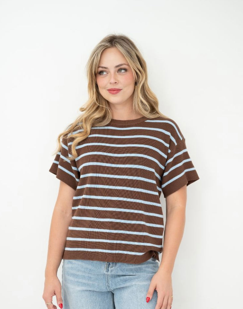 Cotton Stripe Knit Top - Brown/Blue