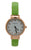 The Bangle Watch - Rose Gold / Green